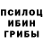 Галлюциногенные грибы ЛСД Daymon Ambler