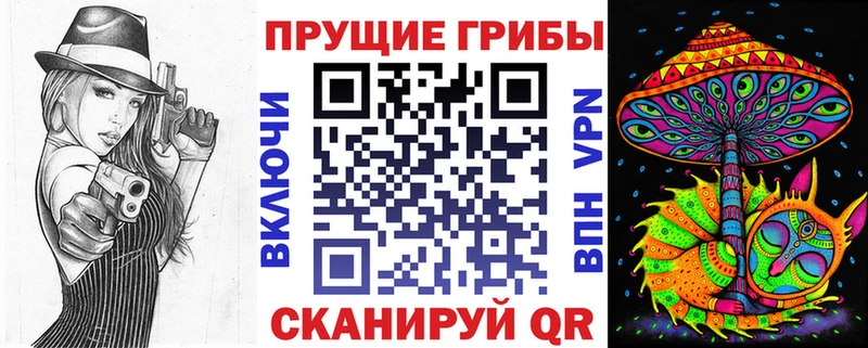 Галлюциногенные грибы Psilocybine cubensis  Брянск 