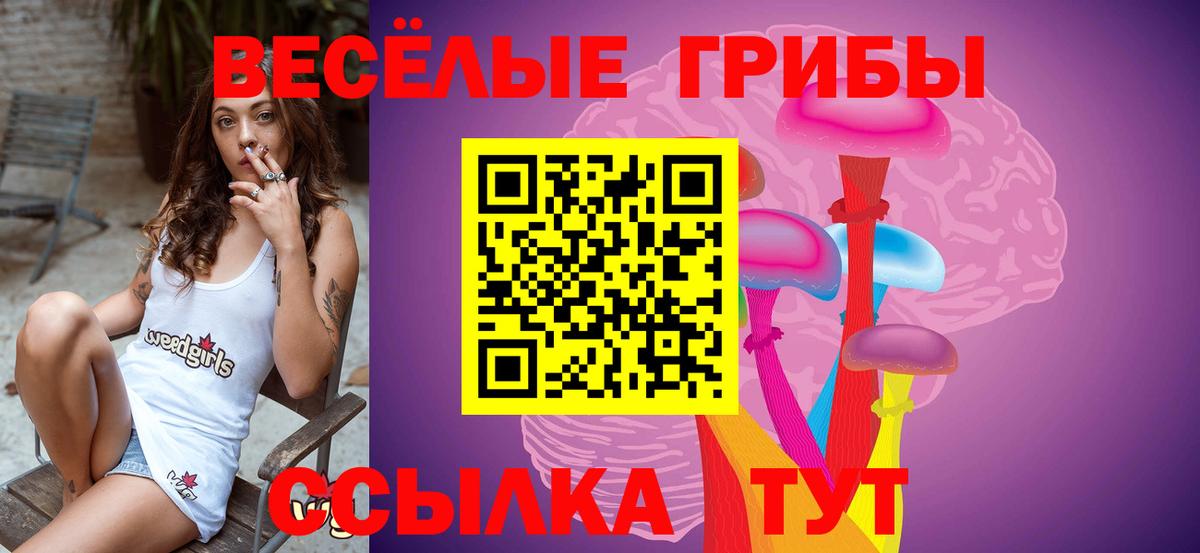 Брянск  Галлюциногенные грибы мицелий  Вход с VPN  Псилоцибиновые грибы Magic Shrooms 