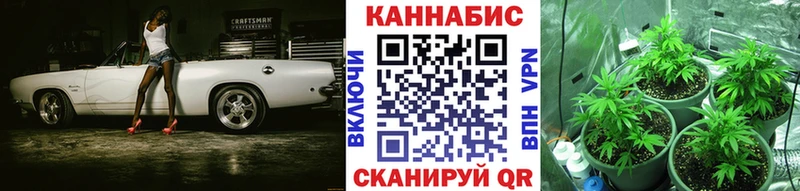 купить наркотик  Брянск  Бошки Шишки Amnesia 