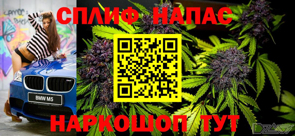 Марихуана сатива Брянск